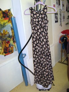 Emily's rayon dress